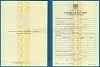 Стоимость Свидетельства о Повышении Квалификации 1997-2018 г. в Коломне и Московской области